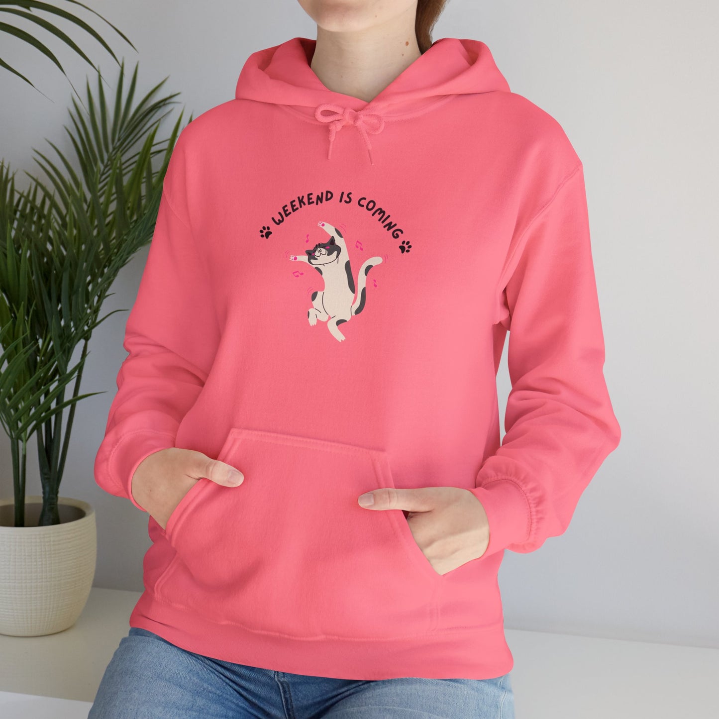 Cute Cat Weekend is Coming Hoodie - Unisex Heavy Blend Sweatshirt